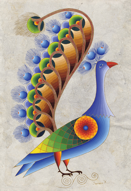 Peacock Attracting