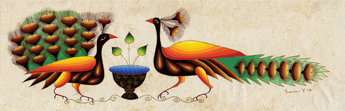 Peacocks Sophistication