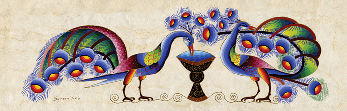 Peacocks in Bright Colors