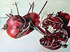 Juicy Pomegranates